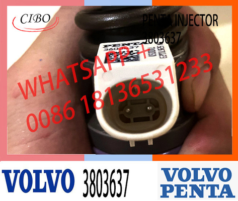 Volvo Penta 3829087 3803637 03829087 için Orijinal Orijinal Yeni Common Rail Enjektör BEBE4C08001
